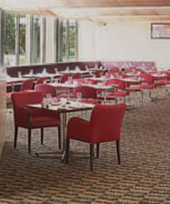 Trinity Bar And Restaurant - Accommodation in Brisbane 2