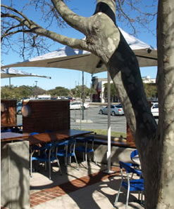 Lakers Tavern - Accommodation in Brisbane 3