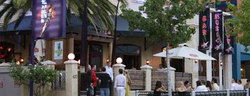 Tiger Lils - Accommodation in Brisbane 3