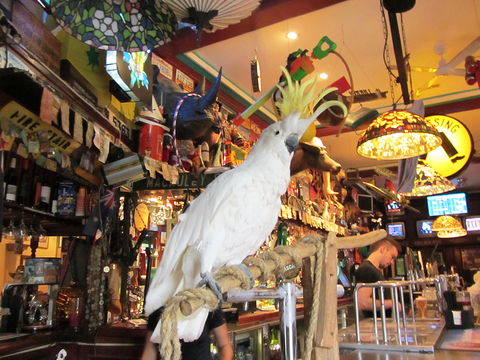 A Friend In Hand - Accommodation in Brisbane 0