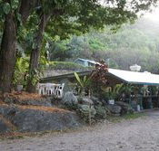 Ellis Beach Bar  Grill - Accommodation in Brisbane