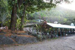 Ellis Beach Bar & Grill - Accommodation in Brisbane 0