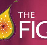 Wild Fig - Accommodation in Brisbane