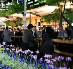 Quay Bar - Accommodation in Brisbane 0