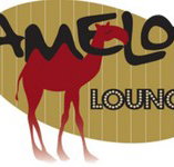 Camelot Lounge - Accommodation in Brisbane