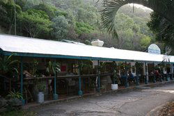 Ellis Beach Bar & Grill - Accommodation in Brisbane 1