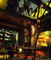 Treehouse Hotel - Accommodation in Brisbane 2