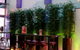 Leichhardt Hotel - thumb 3