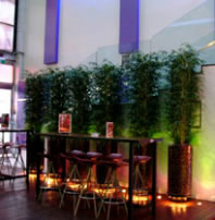 Leichhardt Hotel - Accommodation in Brisbane 3