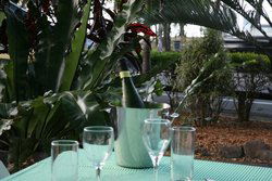 Ellis Beach Bar & Grill - Accommodation in Brisbane 3