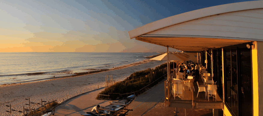 Blue Duck - Accommodation in Brisbane 0