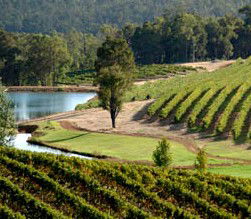 Brookhampton Estate Vineyard - Accommodation in Brisbane 0
