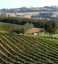 Brookhampton Estate Vineyard - Accommodation in Brisbane 1