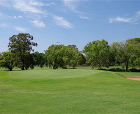 Singleton Golf Club - Accommodation in Brisbane 1