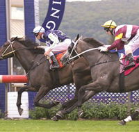 Gosford Race Club - Accommodation in Brisbane