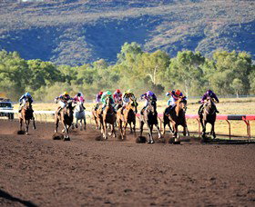 Alice Springs Turf Club - Accommodation in Brisbane 6