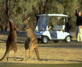 Coomealla Golf Club - Accommodation in Brisbane 2