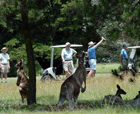 Yarrowford NSW Accommodation in Brisbane
