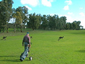 Charlton Gully SA Accommodation in Brisbane