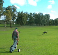 Coffin Bay Golf Club - Accommodation in Brisbane