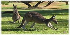 Rockingham Golf Club - Accommodation in Brisbane 2