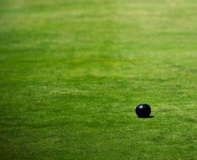 City ACT Accommodation in Brisbane