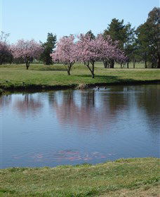 RMC Golf Club - Accommodation in Brisbane 0