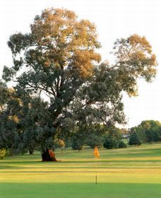 Cowra NSW Accommodation in Brisbane