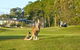 Sanctuary Cove Golf And Country Club - thumb 0
