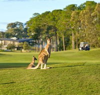 Sanctuary Cove Golf and Country Club - Accommodation in Brisbane