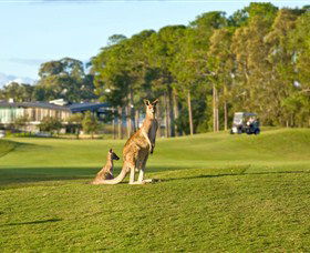 Sanctuary Cove Golf And Country Club - Accommodation in Brisbane 0