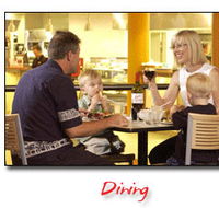 Steelers Club - Accommodation in Brisbane