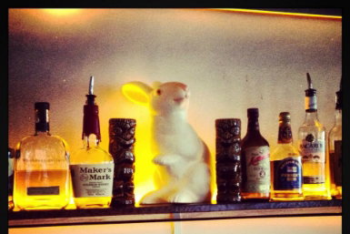 Hairy Canary - Accommodation in Brisbane 0