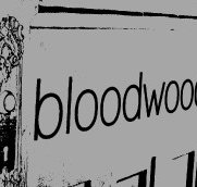 Bloodwood - Accommodation in Brisbane