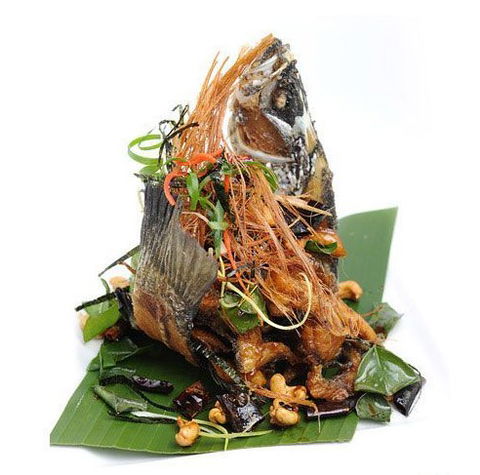 Chilli Cha Cha - Accommodation in Brisbane 3