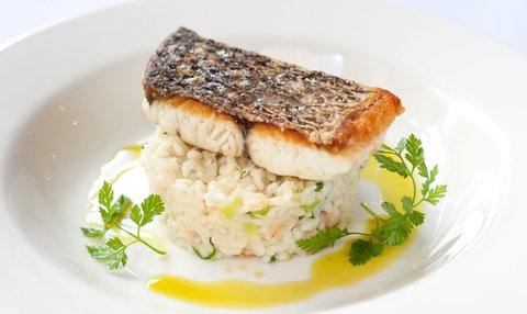 Verandah Restaurant & Bar - Accommodation in Brisbane 1