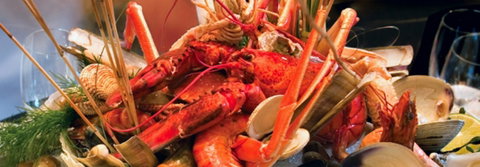 Front Restaurant - Accommodation in Brisbane 1
