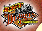 Tamborine QLD Accommodation in Brisbane