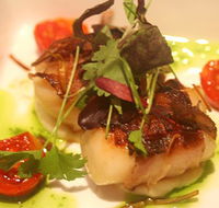 Sealevel Restaurant - Accommodation in Brisbane