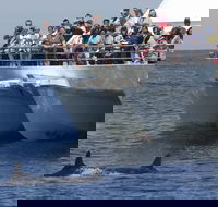 MoonshadowTQC Cruises - Accommodation in Brisbane