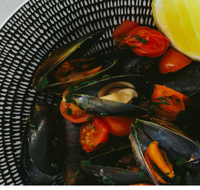 The Italian Diner - Accommodation in Brisbane