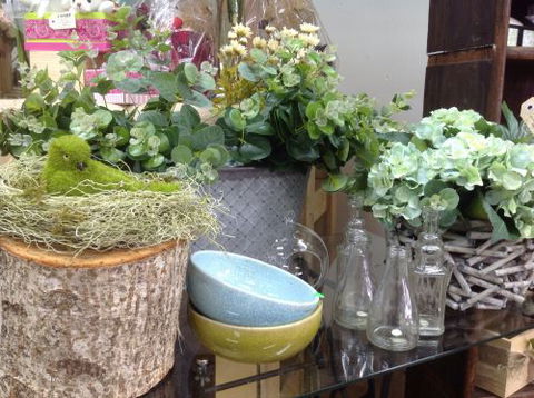 Fiori With Love - Accommodation in Brisbane 2