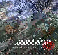 Antica Australis - Winter Fire Festival - Accommodation in Brisbane