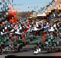 Australian Celtic Festival - Accommodation in Brisbane