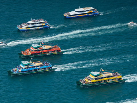 Australia Day Sydney Harbour Cruises - Accommodation in Brisbane 1