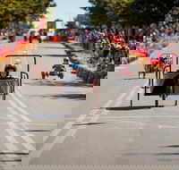 Australian Billy Cart Championships - Accommodation in Brisbane