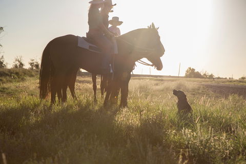 Balonne Cutting Horse Futurity - Accommodation in Brisbane 0