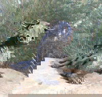 Bathurst Arts Trail - Accommodation in Brisbane