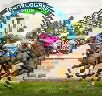 Bathurst Cup - Accommodation in Brisbane
