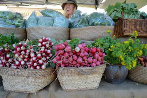 Berry Farmers' Market - Accommodation in Brisbane 0